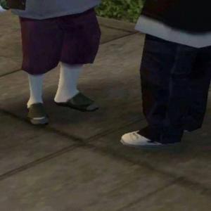 Z1P